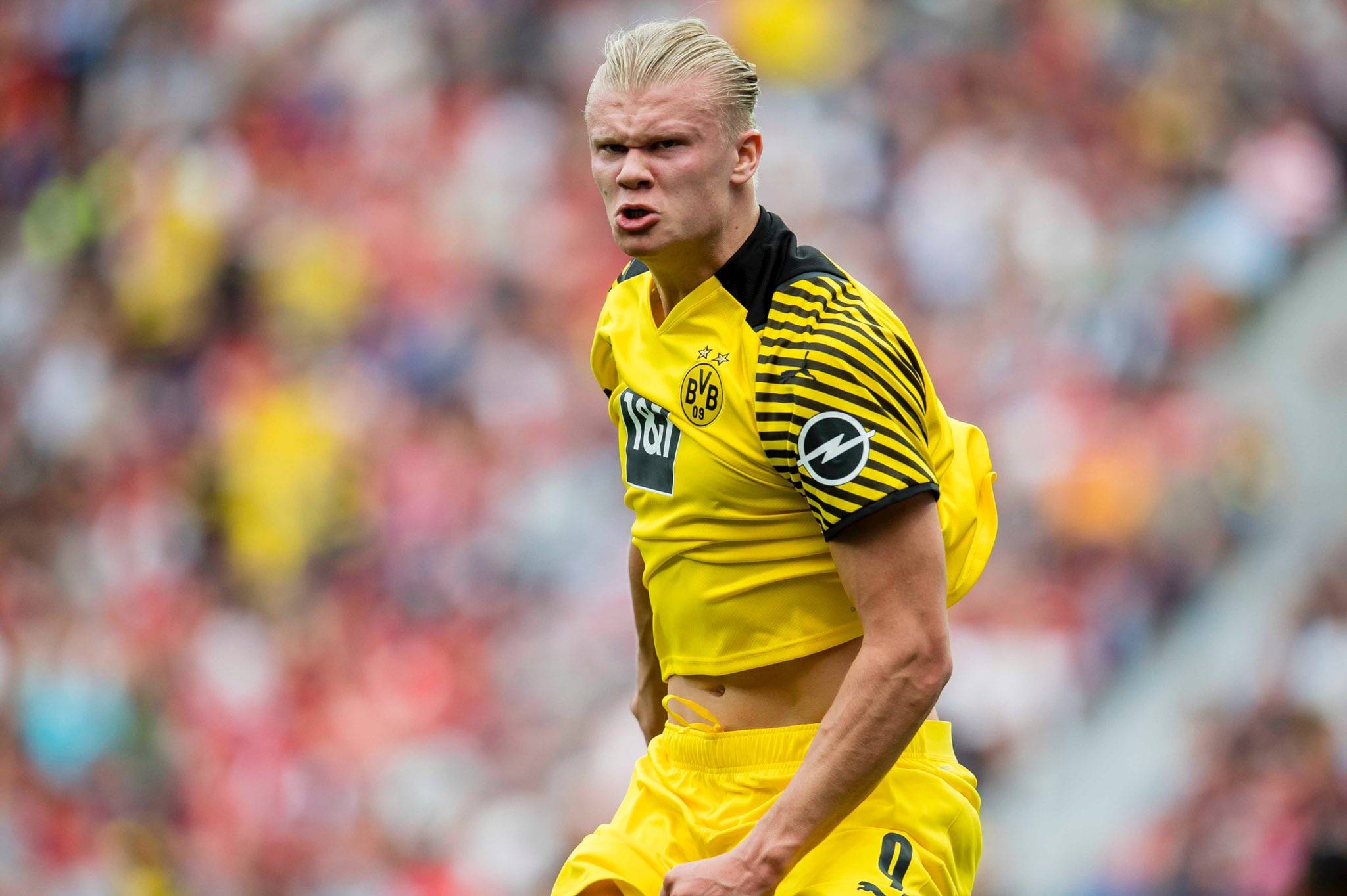 罗哥功劳薄仅差这么一项荣誉就大圆满，所以说的没任何问题（罗哥功勋卓著，只欠这一荣誉便臻圆满，此言并无不当）